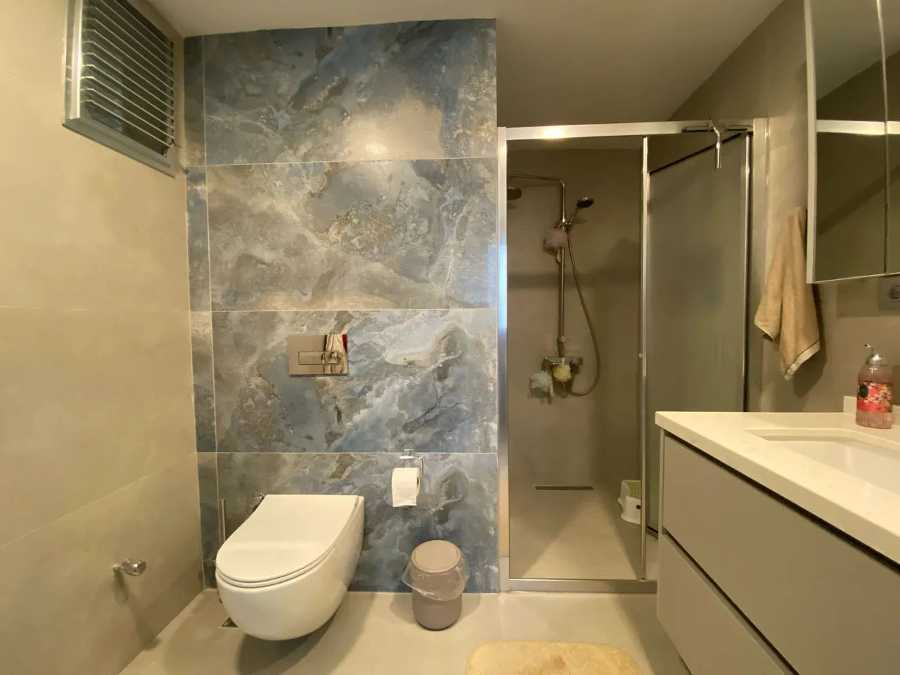 Banyo, lavabo ve duş alanı