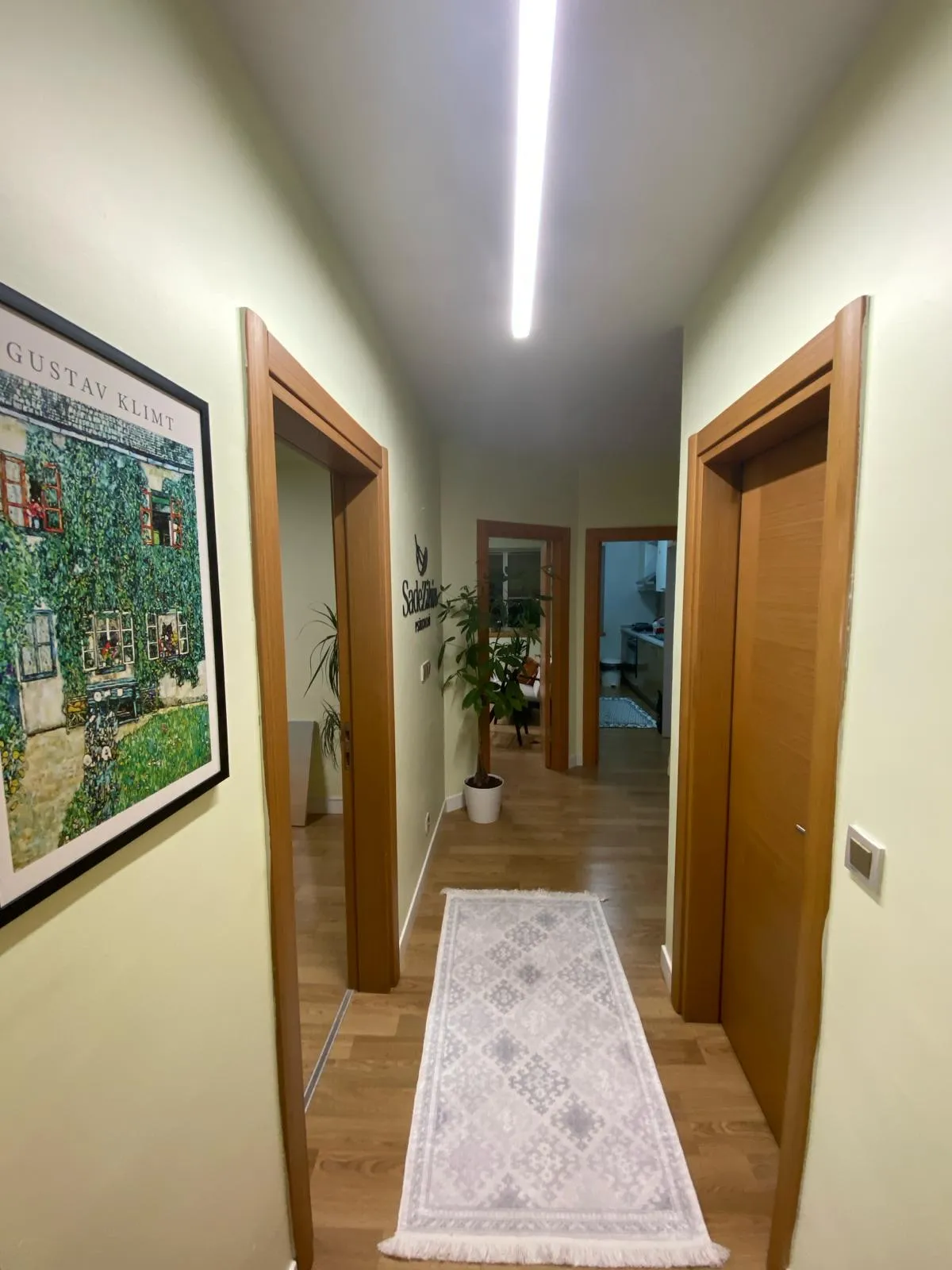 Koridor, çerçeveli tablolar ve bitkiler